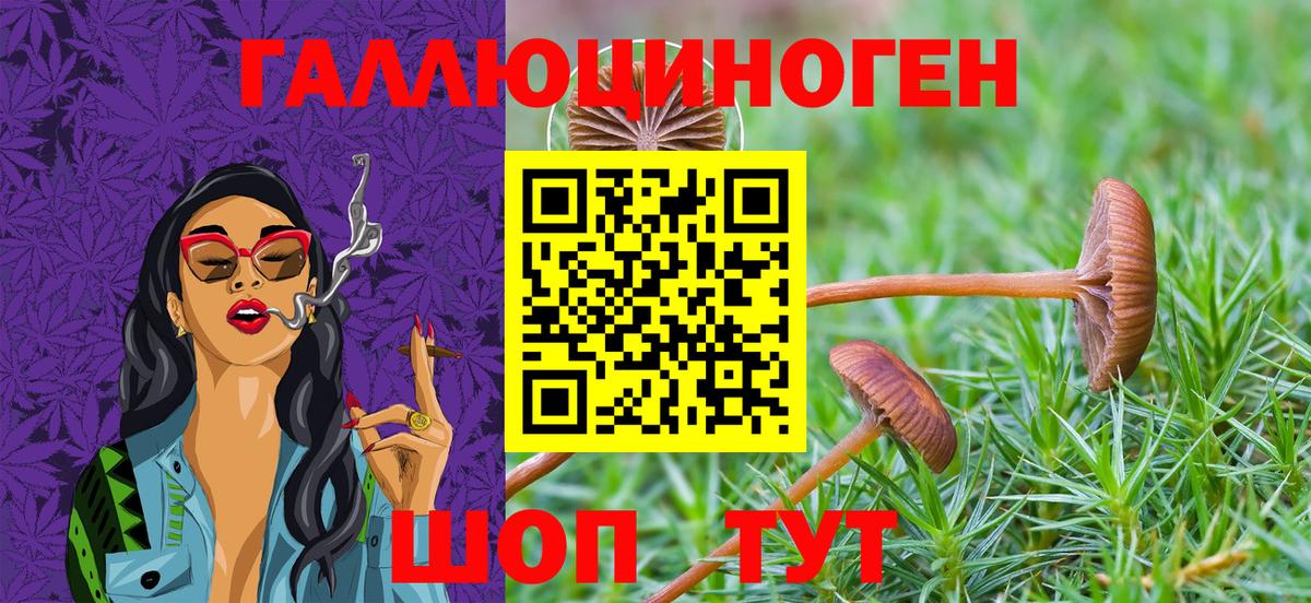 Псилоцибиновые грибы GOLDEN TEACHER  цены наркотик  Вход с VPN  Черняховск  Галлюциногенные грибы прущие грибы 
