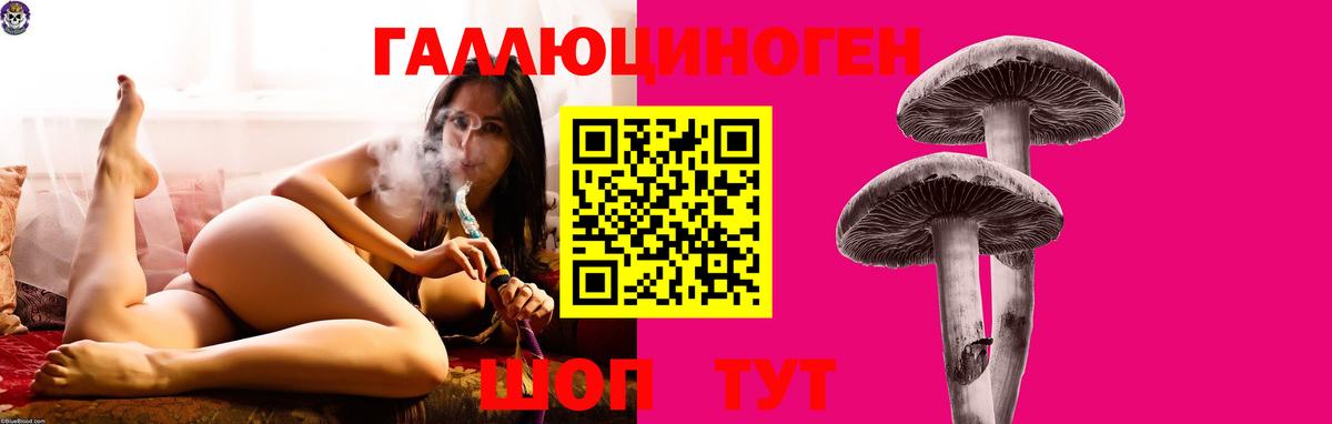 Псилоцибиновые грибы мухоморы Черняховск